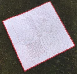 The Ultimate Guide To Rulerwork Quilting BookAmanda Murphy #CT11391 -Quilt Muse Shop am guidetorulerwork image1