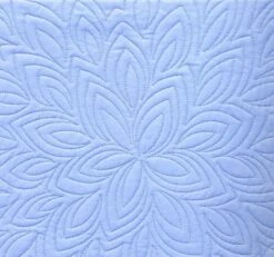 Organic Free-Motion Quilting Idea Quilt BookAmanda Murphy #CT11346 -Quilt Muse Shop am organicfreemotion image3