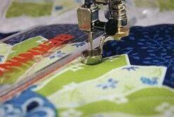 Rulerwork Quilting Idea Quilt BookAmanda Murphy #CT11269 -Quilt Muse Shop am rulerwork image2