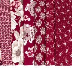 Heartfelt 10" StackerGerri Robinson For Riley Blake Designs -Quilt Muse Shop heartfelt cu4 2