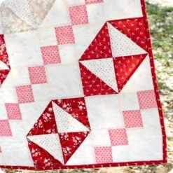 Hedge Roses Quilt KitFeaturing The Flower Farm By Bunny Hill Designs -Quilt Muse Shop hedgeroses cu2