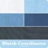Bluish Spotted Coordinates Fat Quarter BundleZen Chic For Moda Fabrics -Quilt Muse Shop moda bluish coord cs