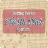 Backing Set For North Star Quilt Kit4.625 Yards Of SKU# 28000-11 1 Backing Set For North Star Quilt Kit4.625 Yards Of SKU# 28000-11 -Quilt Muse Shop northstar backing 900