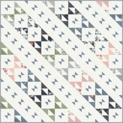 Dwell Jolly BarCamille Roskelley For Moda Fabrics -Quilt Muse Shop painted ladies top 2