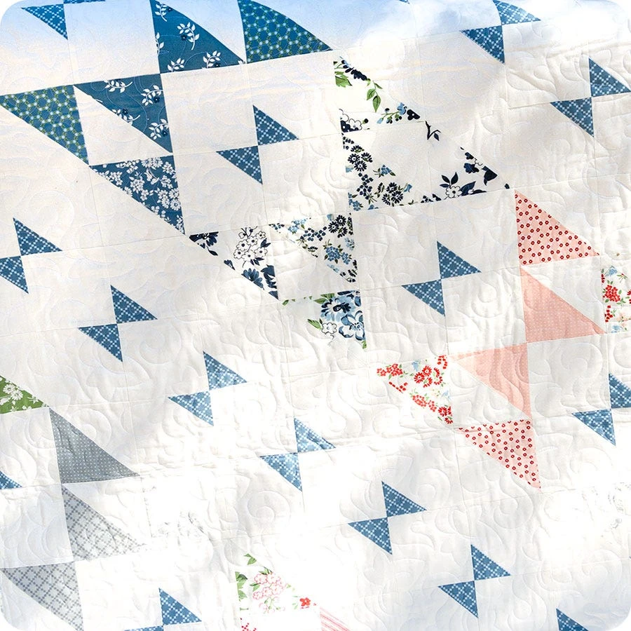 Painted Ladies Quilt KitFeaturing Dwell By Camille Roskelley 4 Painted Ladies Quilt KitFeaturing Dwell By Camille Roskelley - Image 2