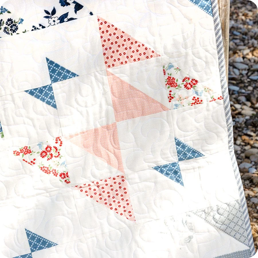 Painted Ladies Quilt KitFeaturing Dwell By Camille Roskelley 5 Painted Ladies Quilt KitFeaturing Dwell By Camille Roskelley - Image 3