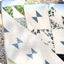 Painted Ladies Quilt KitFeaturing Dwell By Camille Roskelley 19 Painted Ladies Quilt KitFeaturing Dwell By Camille Roskelley -Quilt Muse Shop paintedladies cu4
