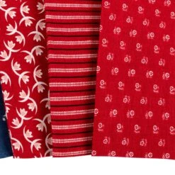 Prairie Half Yard BundleLori Holt For Riley Blake Designs -Quilt Muse Shop prairie cu9 6