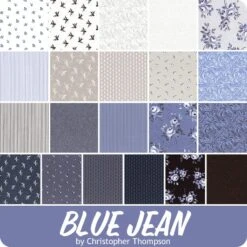 Blue Jean 5" StackerChristopher Thompson For Riley Blake Designs -Quilt Muse Shop rb bluejean ydg 900 2 1 5