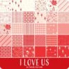 I Love Us 10" StackerSandy Gervais For Riley Blake Designs 2 I Love Us 10" StackerSandy Gervais For Riley Blake Designs -Quilt Muse Shop rb iloveus ydg cs 4